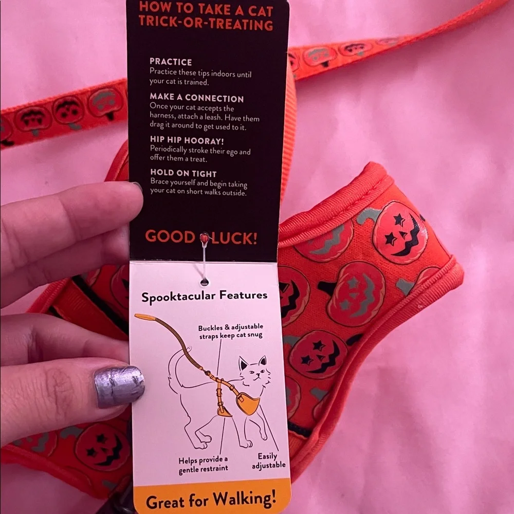 Orange Pumpkin Dog Harness and Leash Set